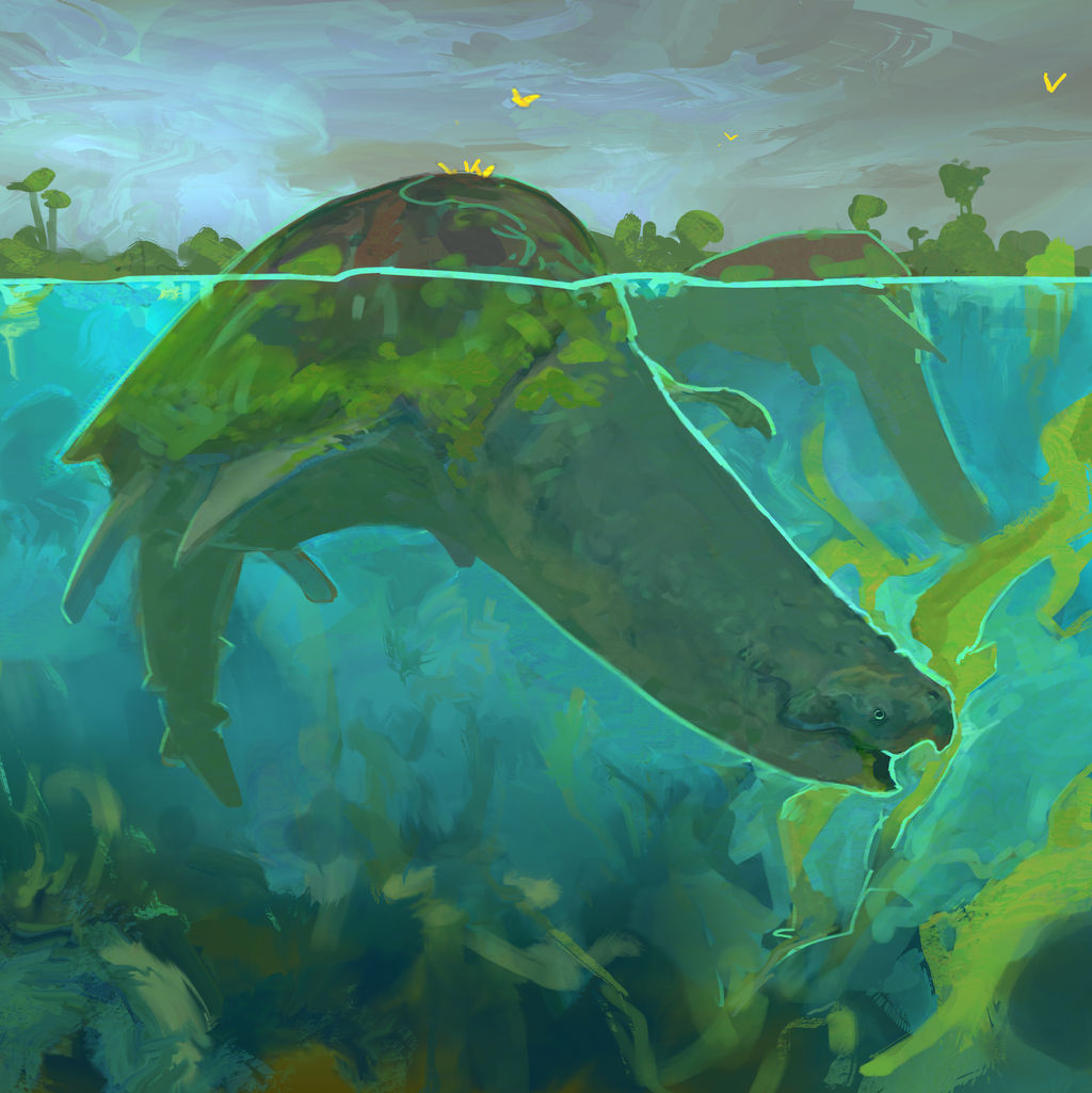 Giant floating turtle - The Oppershild by Feath3rFace on DeviantArt