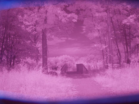 Infrared bridge