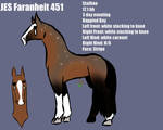 JES Faranheit 451 by FarFieldEquestrian