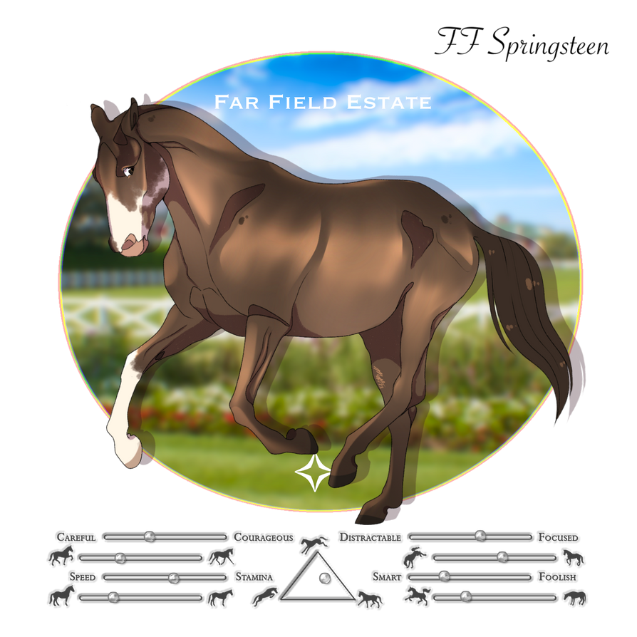 FF Springsteen ZM0563 by FarFieldEquestrian on DeviantArt