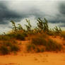 Wind on the dunes