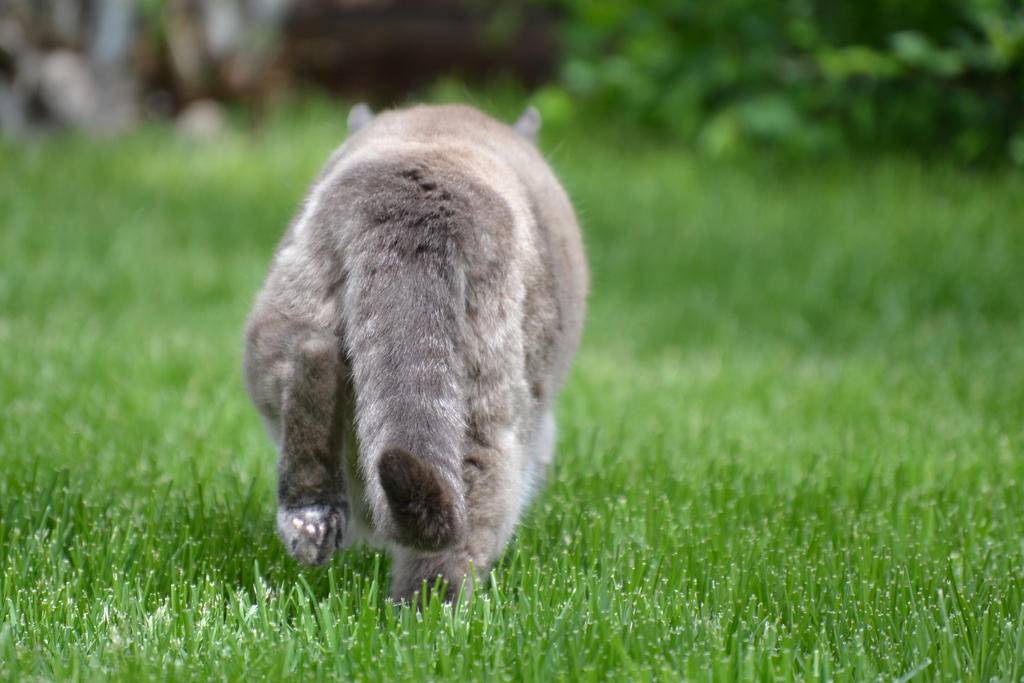 Slinking Away by Sparkleydoggy on DeviantArt