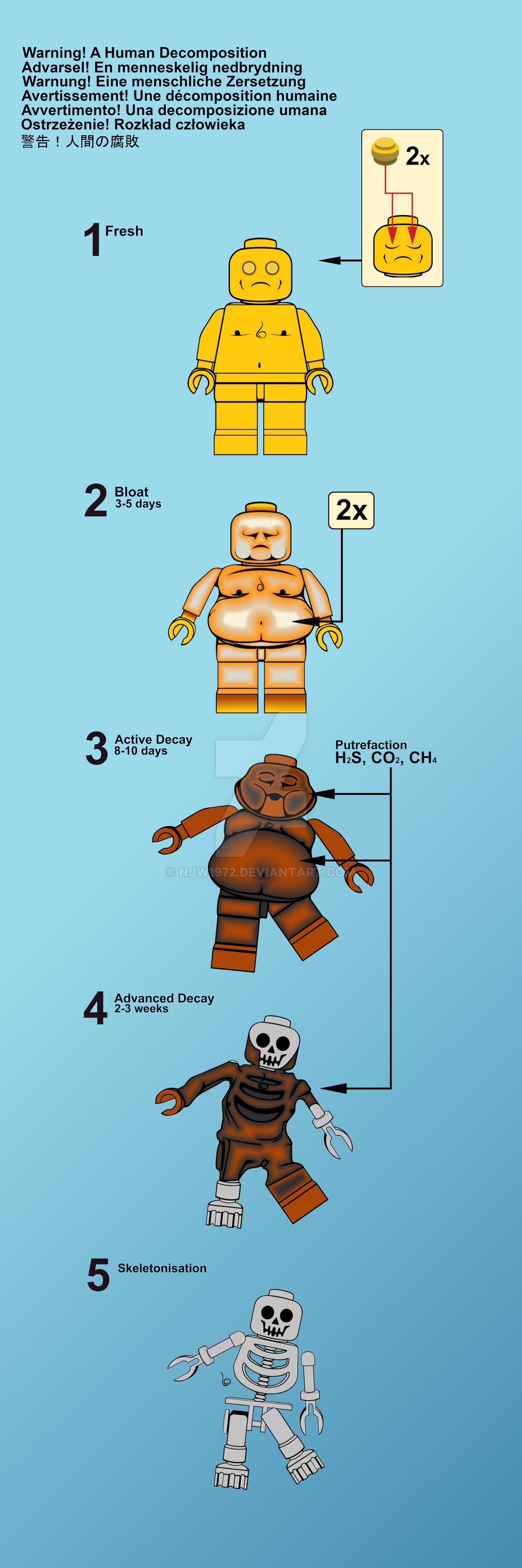 5 Stages of Human Decomposition by NJW1972 on DeviantArt