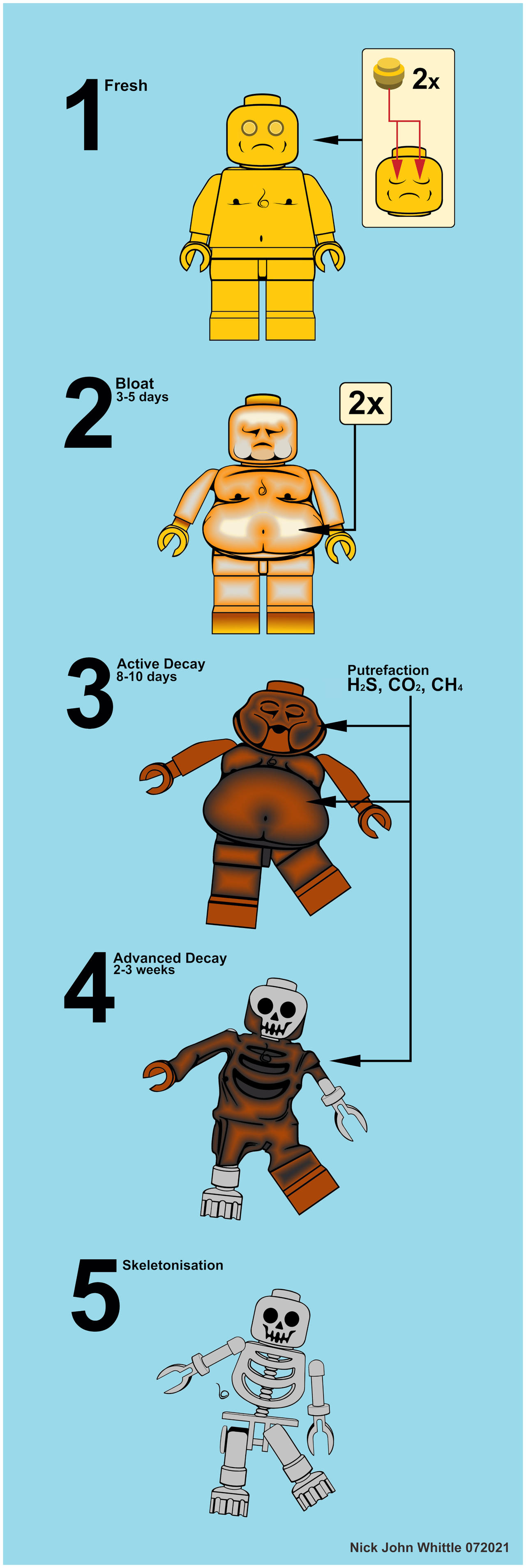 5 Stages of Human Decomposition by NJW1972 on DeviantArt