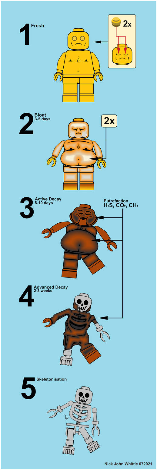 5 Stages of Human by NJW1972 on DeviantArt