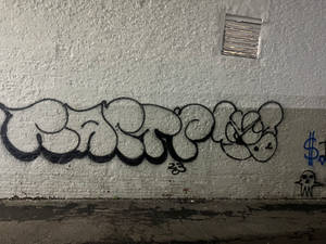 Raptr Hollow Throwie With Moniker