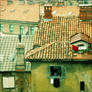 roofs
