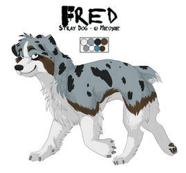 .: Stray Dog - Fred :.