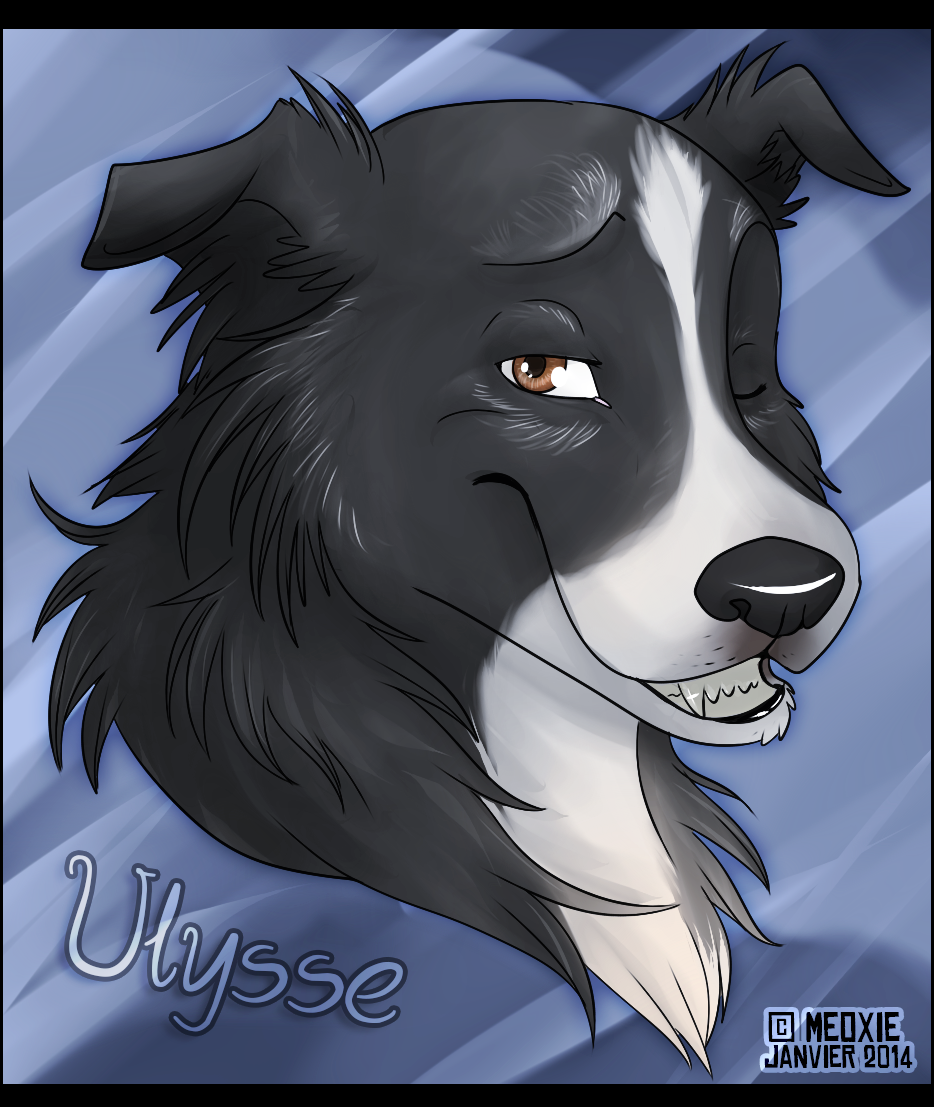 Ulysse.: Ulysse [Commish-refuge]