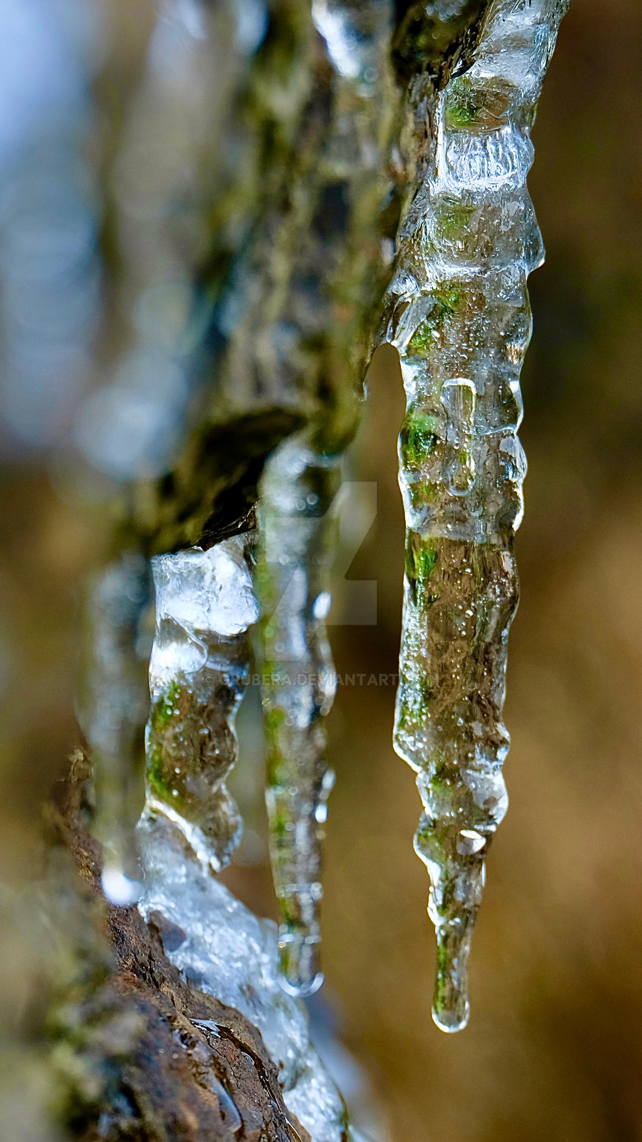 Iced Reflection Reflection in ice by GruberA on DeviantArt