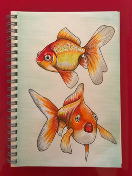 Goldfish