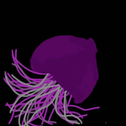 purple jellyfish 