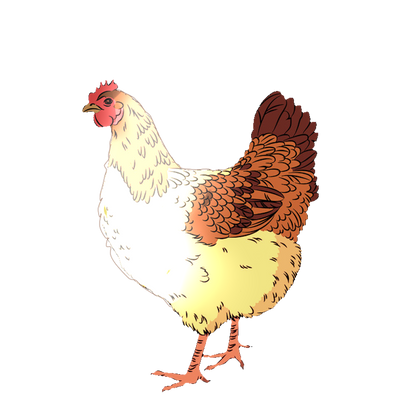 Chicken Deviantart Chicken by ChickenRoostArt on DeviantArt