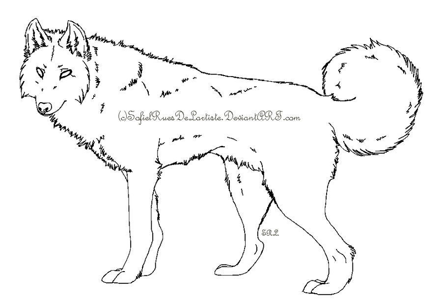 Wolf Template 1 by SofielRuesDeLartiste on DeviantArt