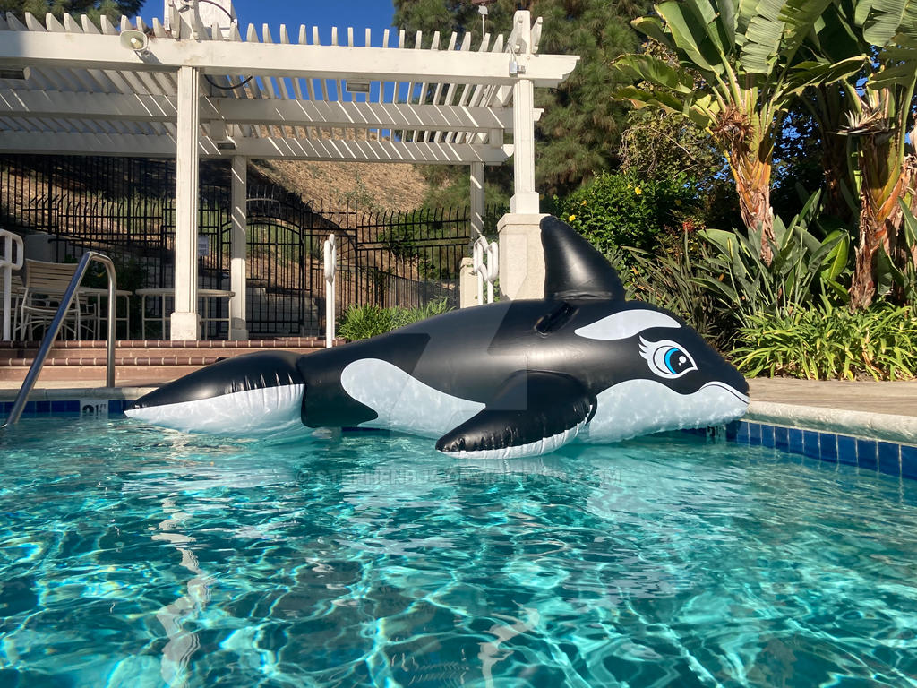 Orca Inflatable Kayak Inflatable Orca On Water by Stephenbj4 on DeviantArt