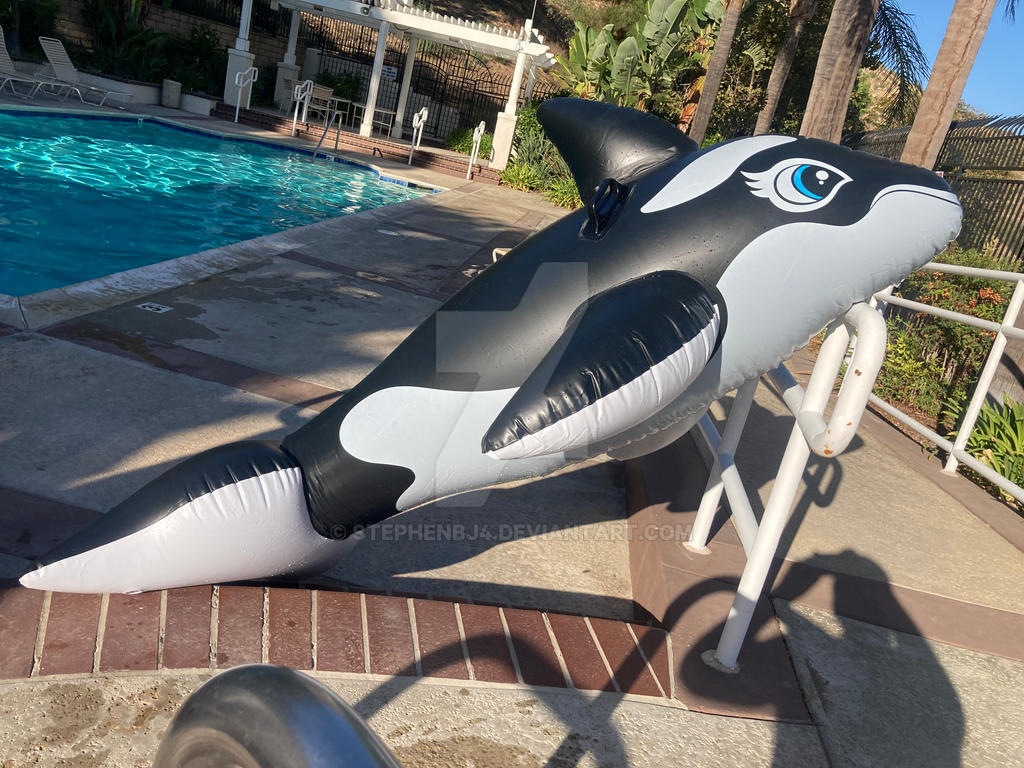 Orca Inflatable Kayak Orca Inflatable II by Stephenbj4 on DeviantArt