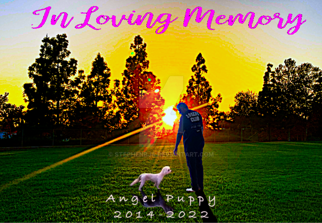 I Never Thought It Would Hurt So Much by Stephenbj4 on DeviantArt