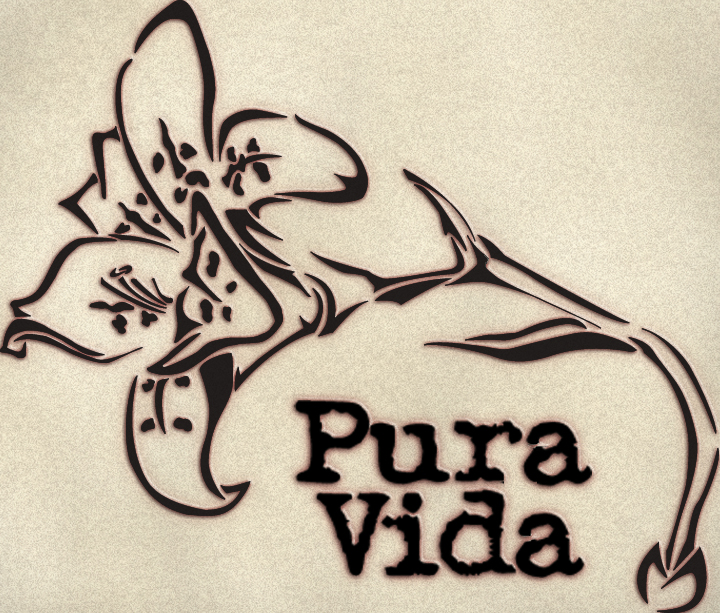 Pura Vida By Demonnoa On Deviantart