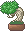 Bonsai Pixel (F2U)