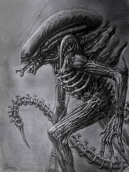 xenomorph