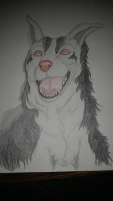 Mightyena