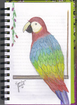 Parrot