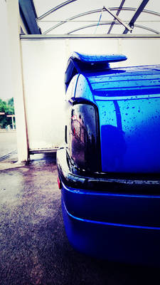 Blue Lion I - Opel Vectra A - Love