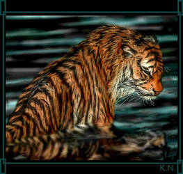 -sad tiger-