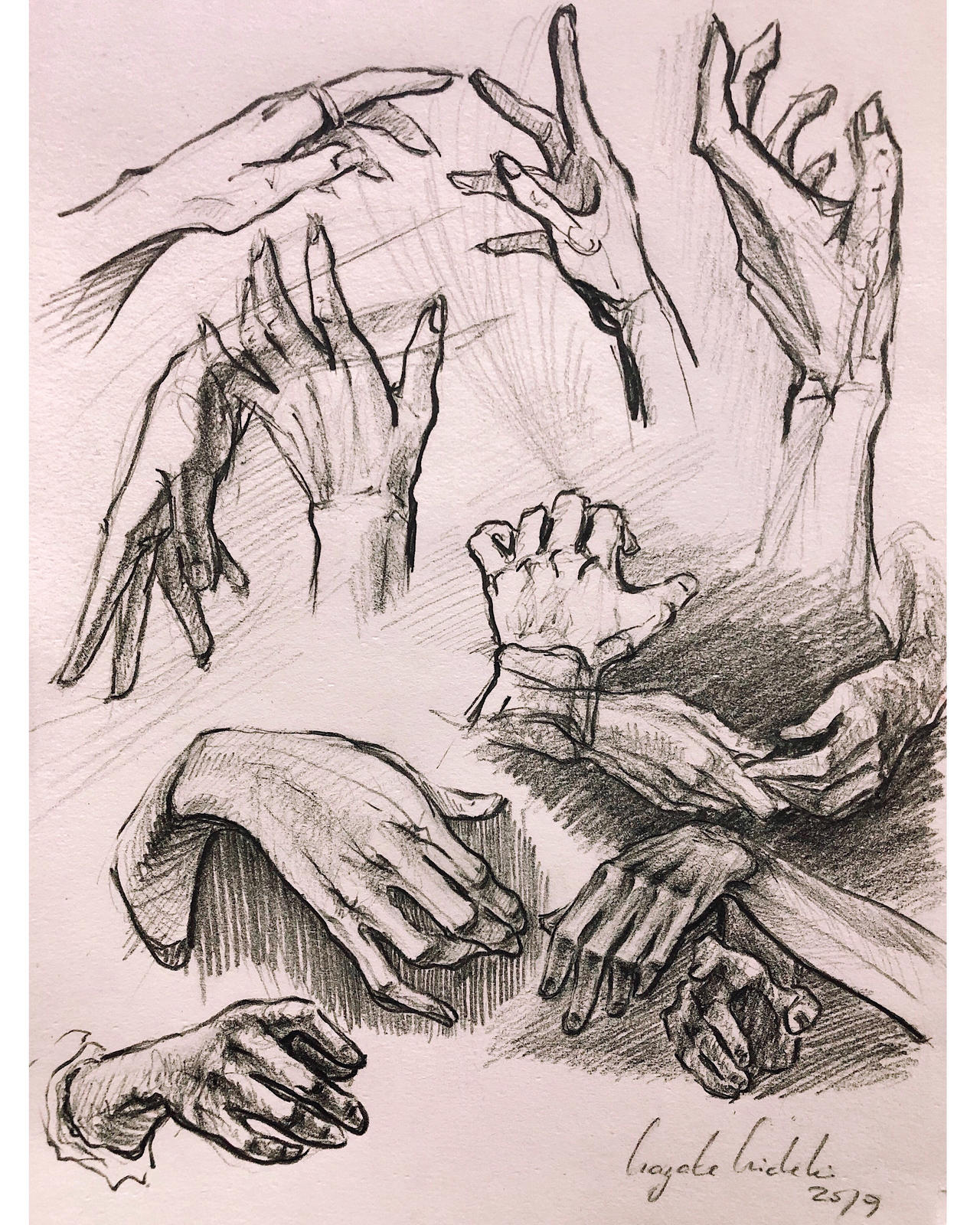 hands study by hayatehideki on DeviantArt