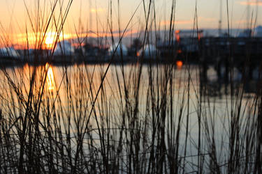 Depth of Field: Sunset over Sands Point