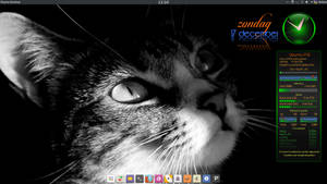 Ubuntu KDE Plasma Desktop with Conky Widget