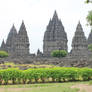 Prambanan Temple