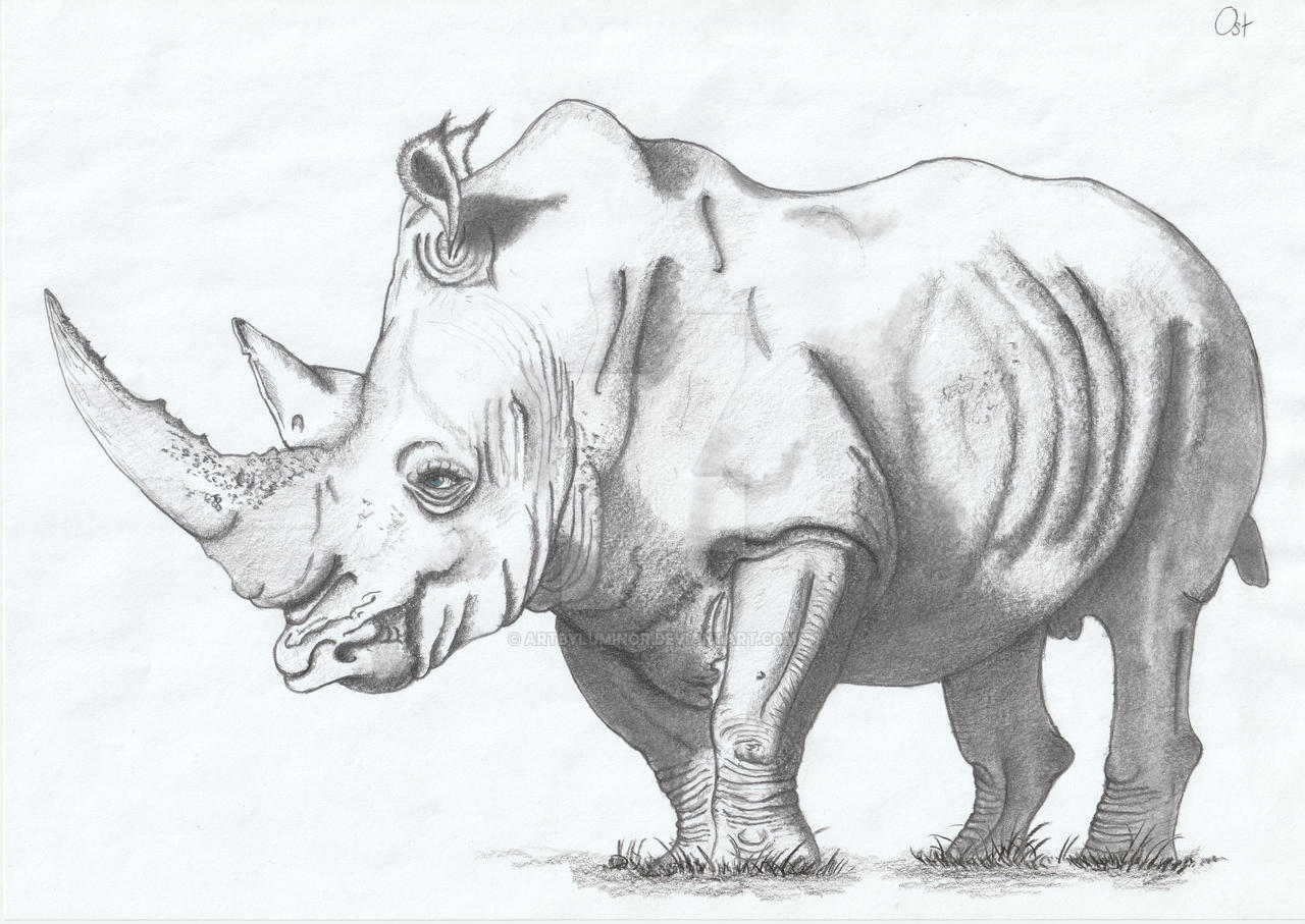 Rhino by ArtByLuminor on DeviantArt
