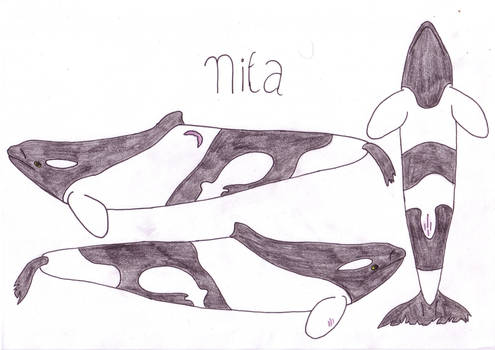 Nita