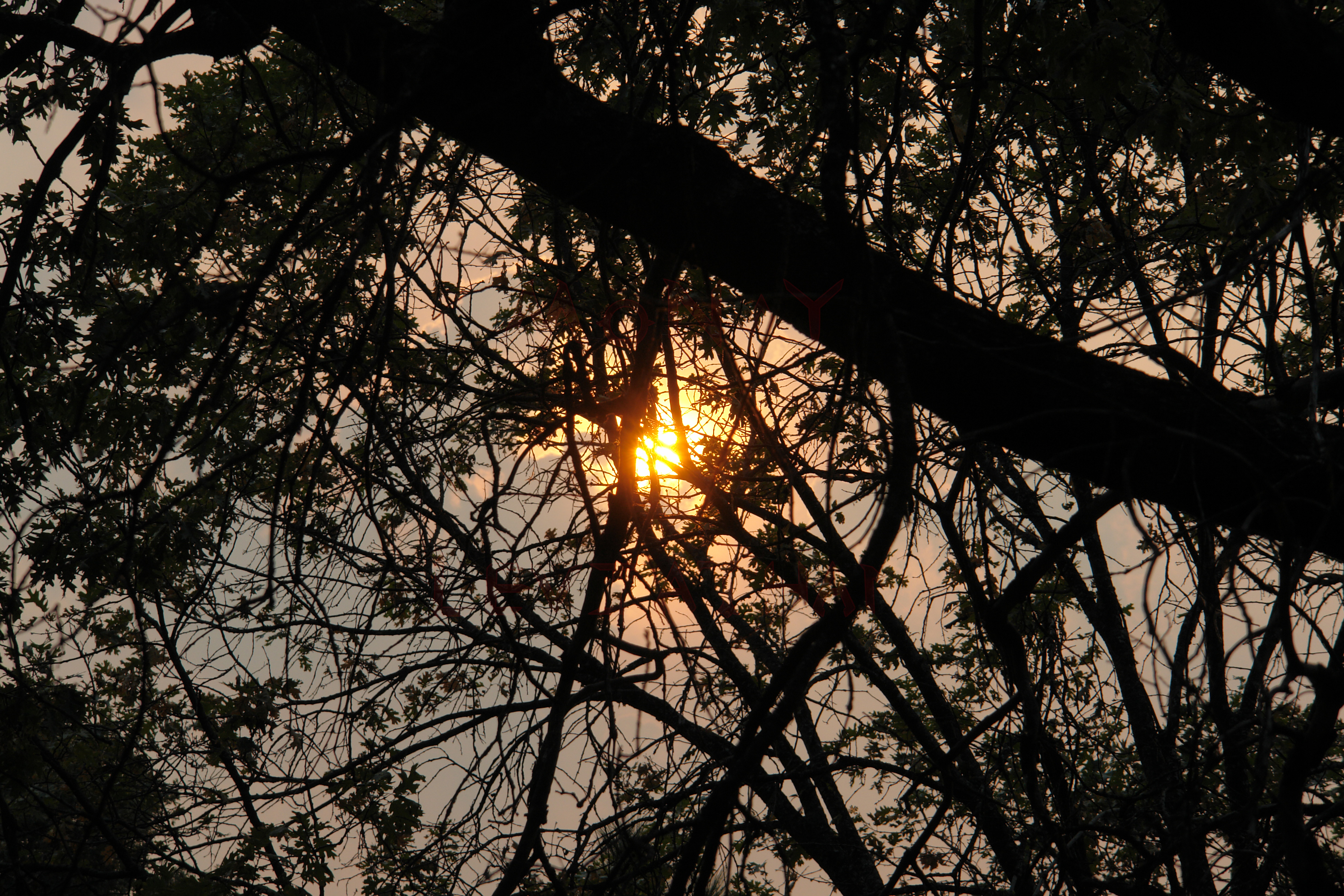 Wildfire Sundown Photography August 2020
