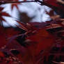 Perfect Fall Feeling
