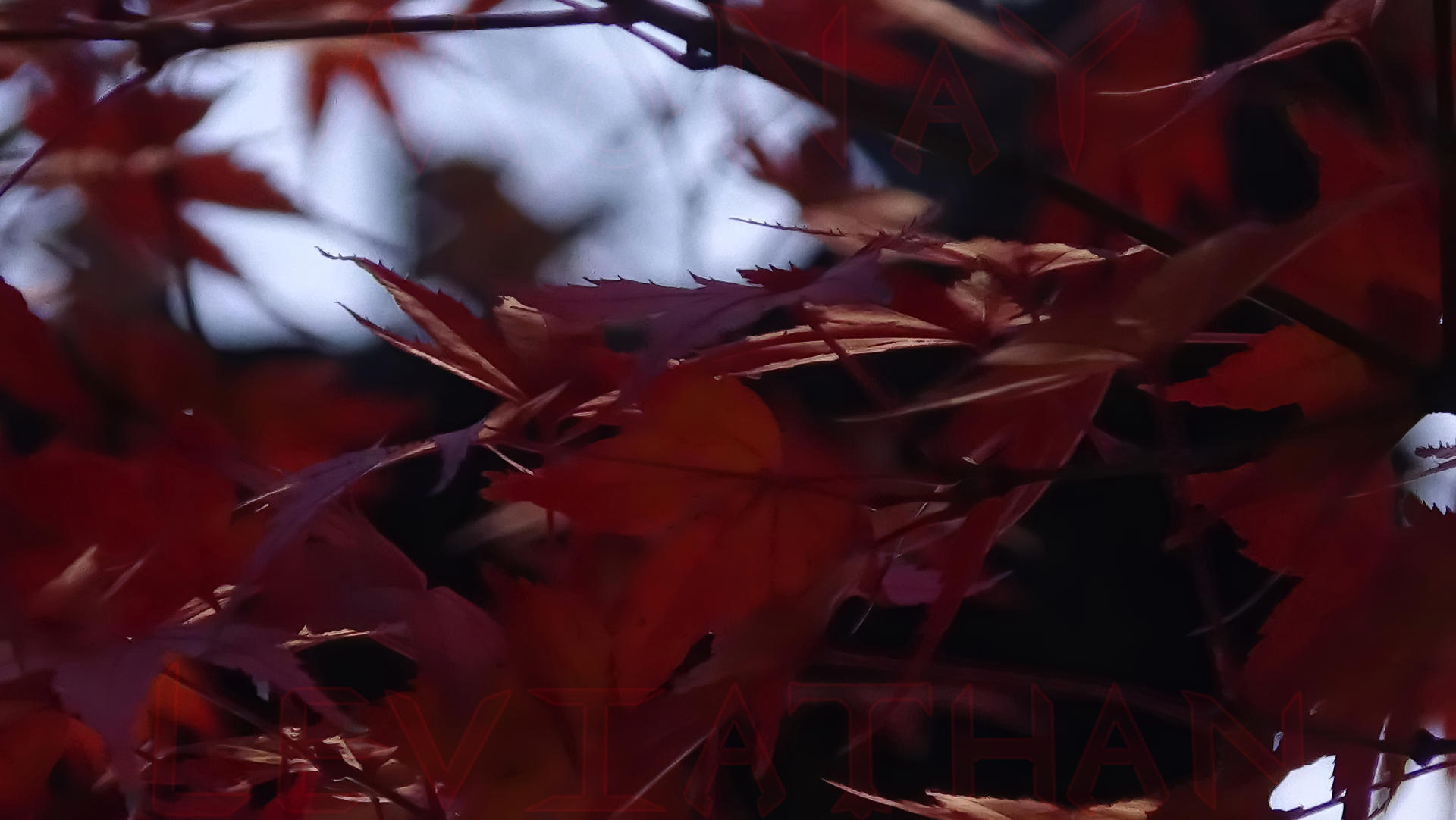 Perfect Fall Feeling