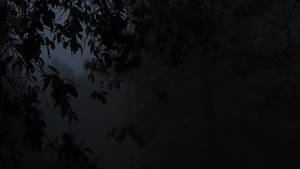 Cold Dark Winter 2020