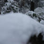 Striking Photogenic Snow
