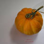Rich Orange Pumpkin 2023