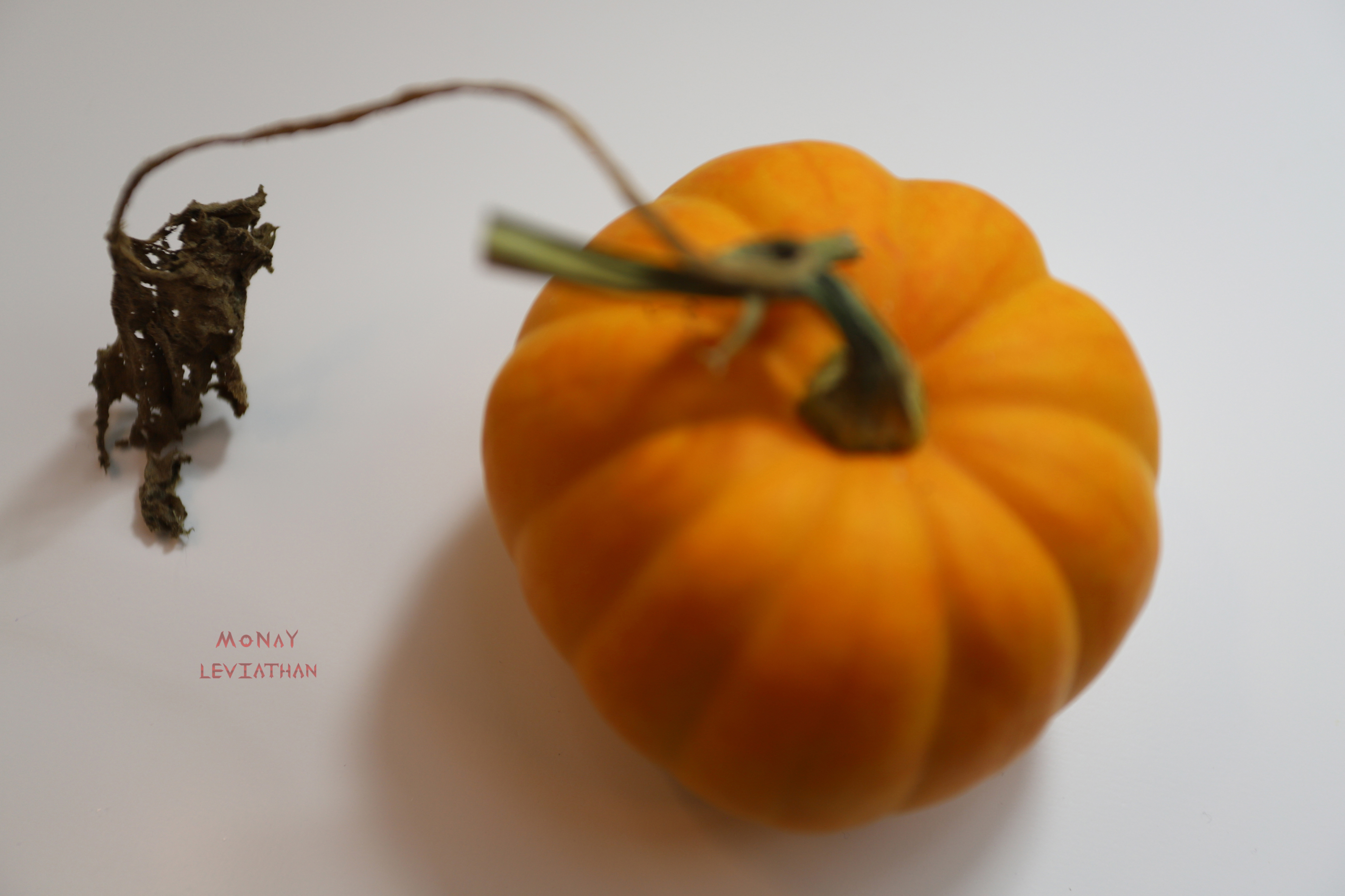 Rich Orange Pumpkin