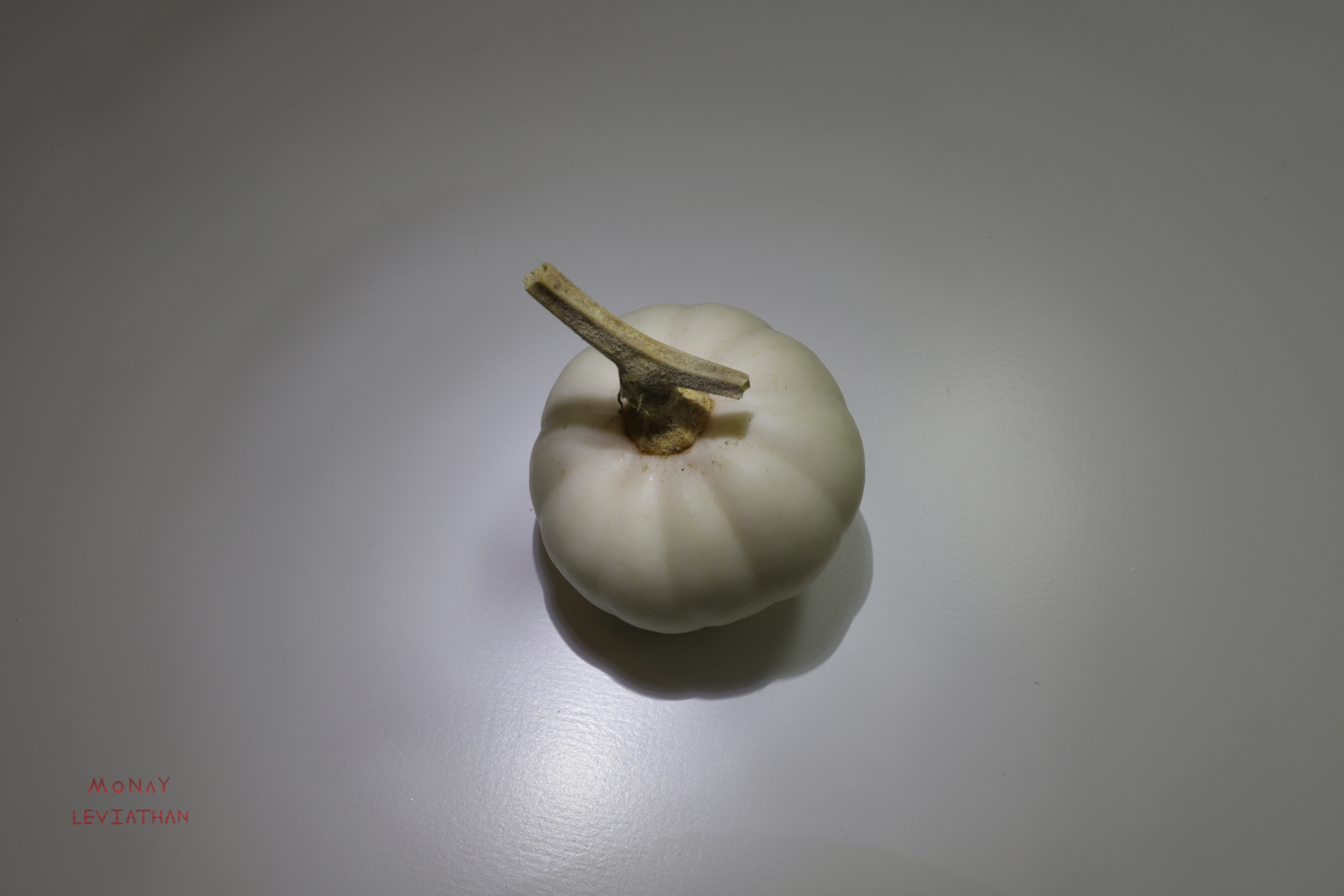 Perfect Tiny White Pumpkin