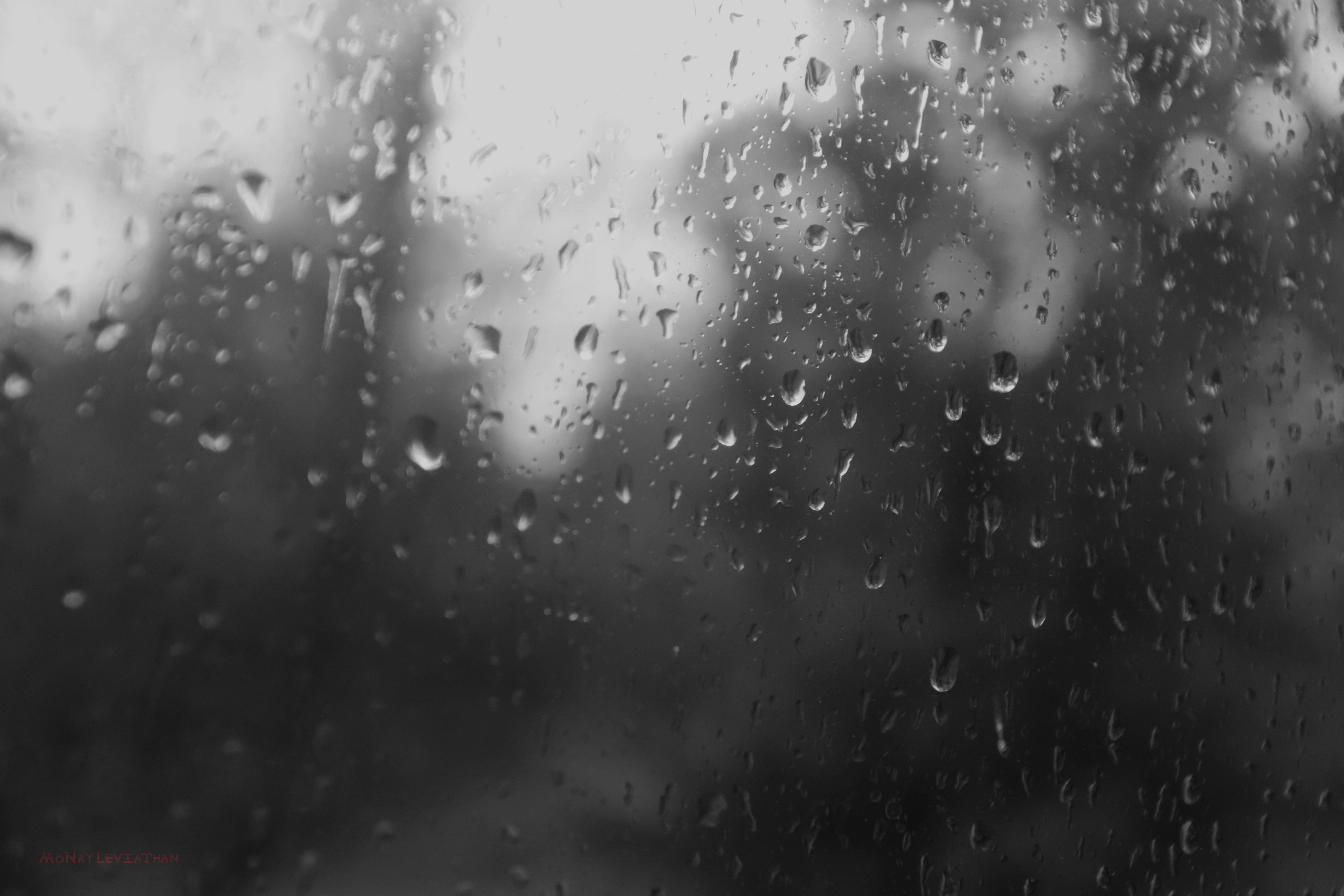 Gray Brooding Melancholy Rainy Sadness