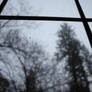 The Rain On The Window