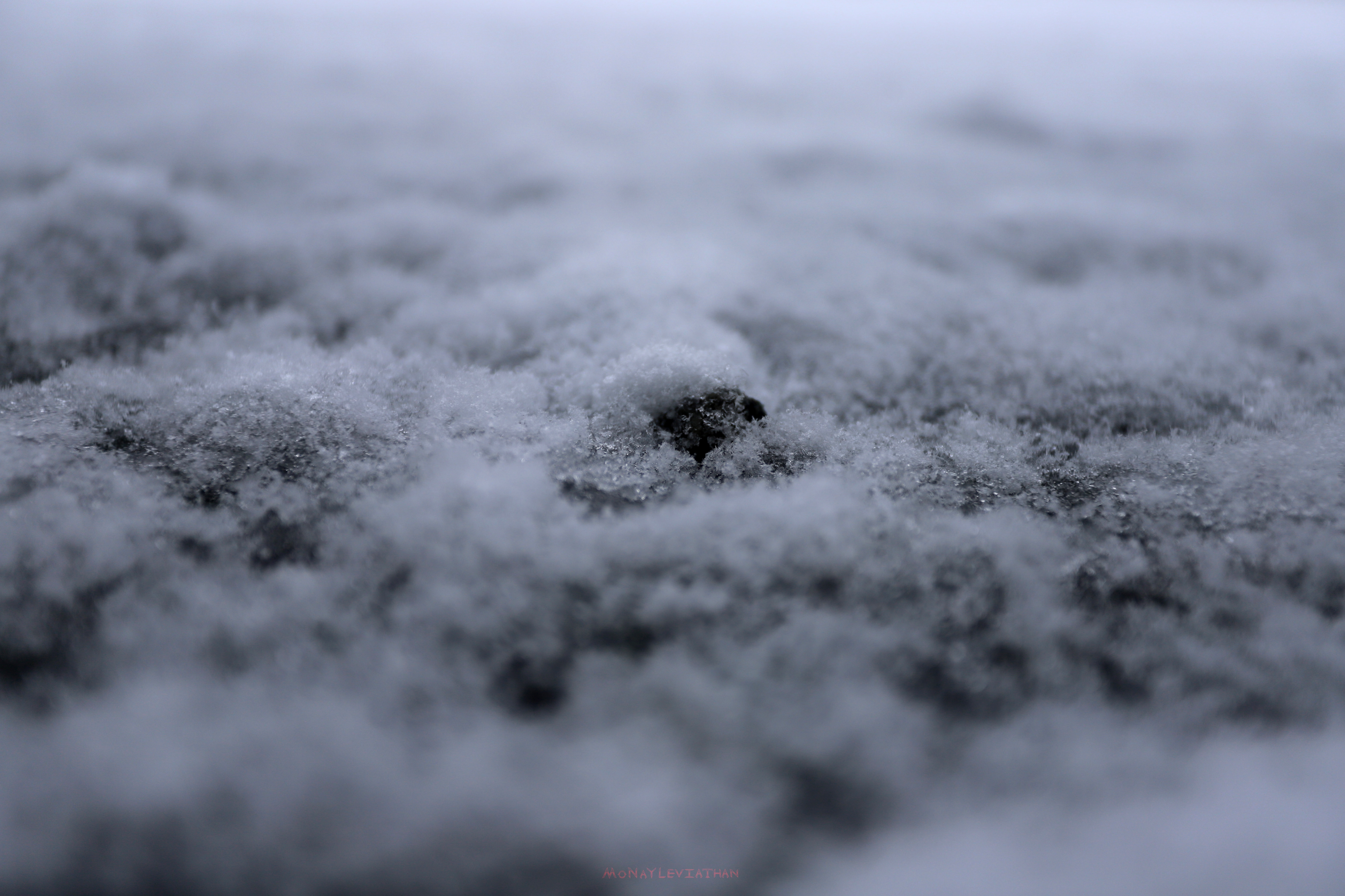 Snowy Icy Ground