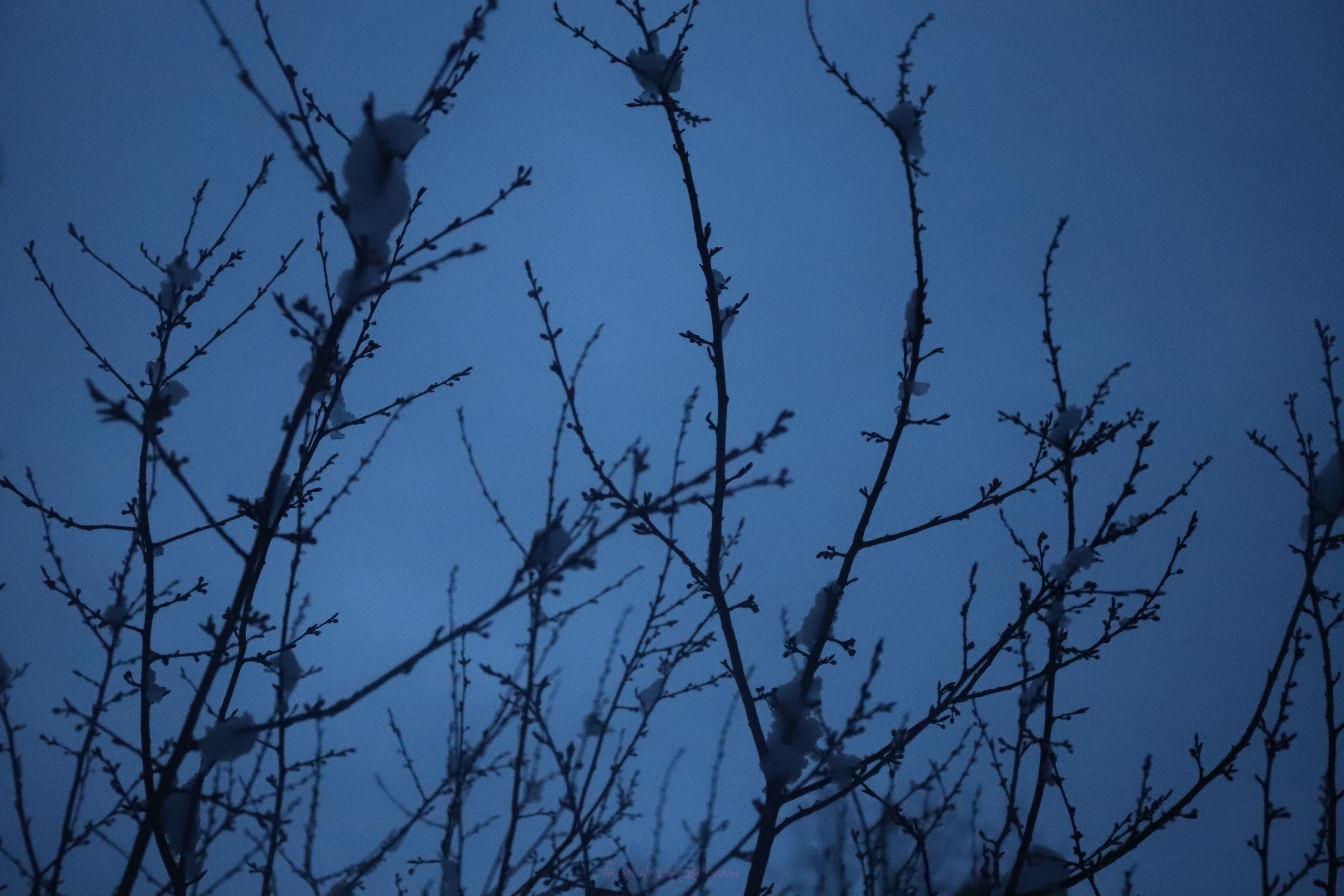 Blue Dark Solemn Mysterious Snowy Winter Nightfall