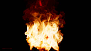 Realistic Dynamic Fire Rendering Closeup