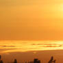 Golden Sunset Blaze