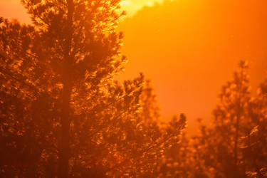 Heavenly Sunset Radiance
