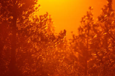Heavenly Orange Radiant Sunset